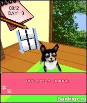 Flash     3 (My Little Dogs 3D)  3