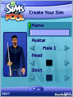 Flash ���� C����: ������� (The Sims: Pool) �������� 2