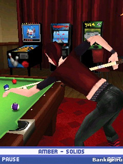 Flash ���� C����: ������� (The Sims: Pool) �������� 3