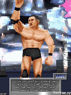 Flash ���� �������� 2008 (WWE SmackDown vs. RAW 2008) �������� 2