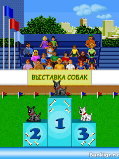 Flash ���� ��� ������� �������� 2