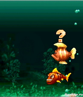 Flash ���� Piranha (�������) �������� 3