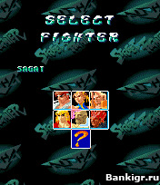 Flash ���� Street Fighter �������� 2