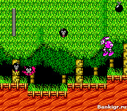 Flash ���� Mega Man 2 �������� 2