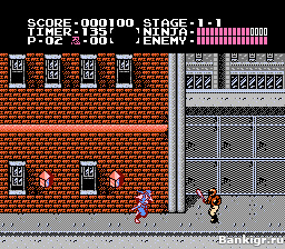 Flash ���� Ninja Gaiden �������� 2