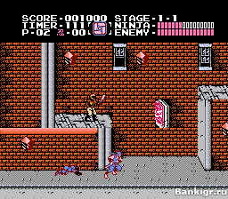 Flash ���� Ninja Gaiden �������� 3