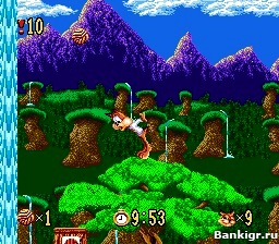 Flash ���� Bubsy �������� 2