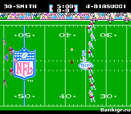 Flash ���� Tecmo Super Bowl �������� 2