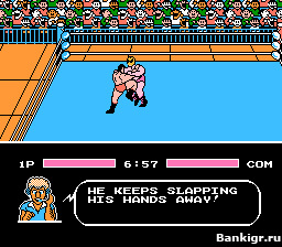 Flash ���� Tecmo World Wrestling �������� 2
