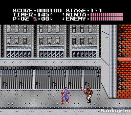 Flash ���� Shadow Warriors �������� 2