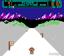 Flash ���� Slalom �������� 2