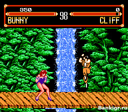 Flash ���� Street Fighter 4 �������� 2