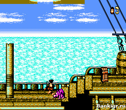 Flash ���� Super Donkey Kong 2 �������� 2