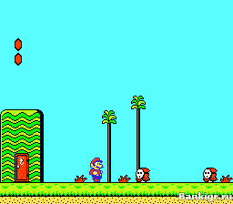 Flash ���� Super Mario Bros 2 �������� 2