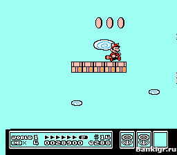 Flash ���� Super Mario Bros 3 �������� 3