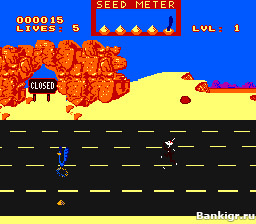 Flash ���� Road Runner �������� 2
