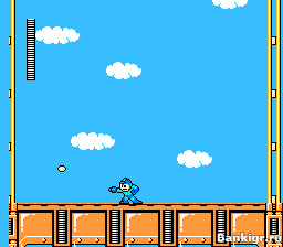 Flash ���� Megaman V �������� 2