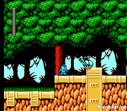 Flash ���� Megaman VI �������� 2