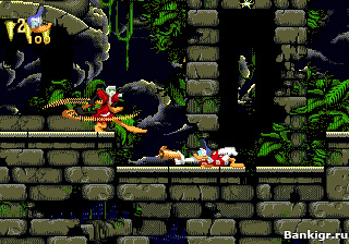 Flash ���� Donald in Maui Mallard �������� 2