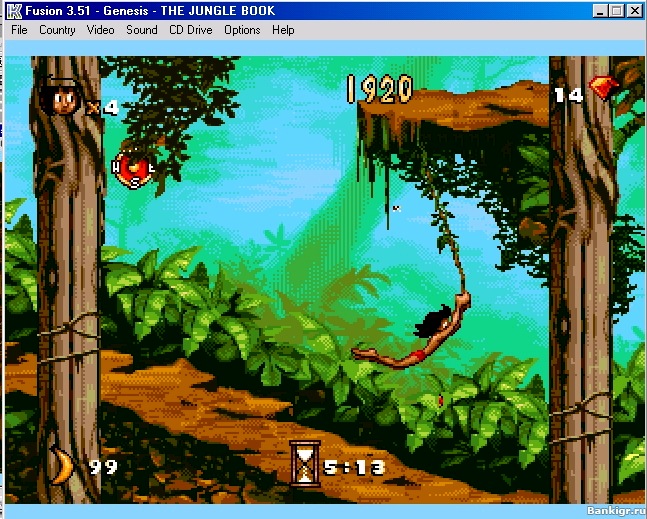 Flash ���� Jungle Book �������� 2