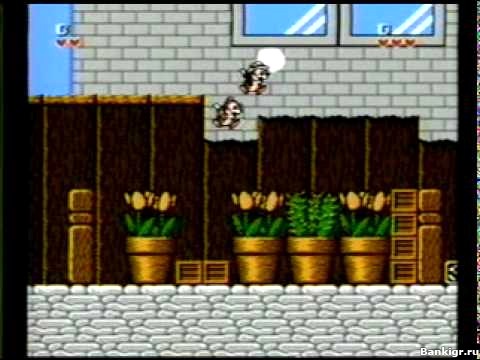 Flash ���� Chip & Dale (nes) �������� 2