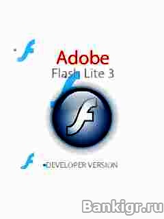 Flash ���� Age og Empires 2 (Imperie) �������� 2