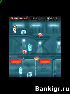 Flash ���� Brain hunter �������� 2