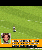 Flash ���� Real Football 3D �������� 2