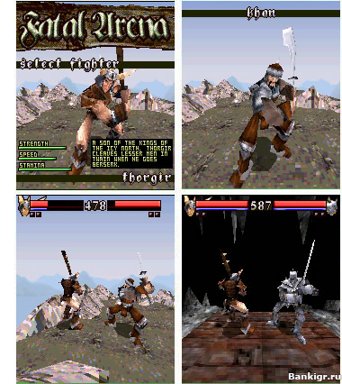 Flash ���� Fatal Arena 3D �������� 2