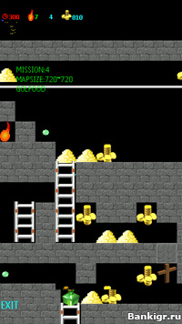 Flash ���� �������� �������� (TOMB Treasure) �������� 3
