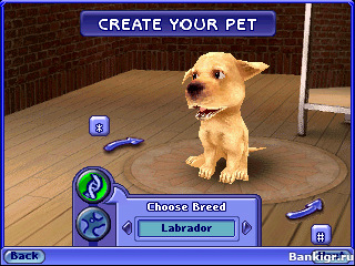 Flash ���� ���� 2: �������� �������� (Sims 2 Pets) �������� 2