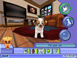 Flash ���� ���� 2: �������� �������� (Sims 2 Pets) �������� 3