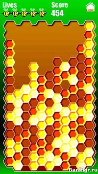 Flash ���� ������������� ���� (BeeHive Hex) �������� 2