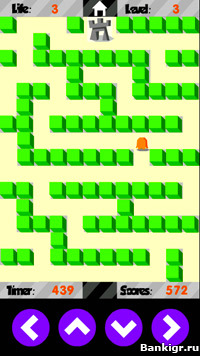 Flash ���� Crazy Maze �������� 4