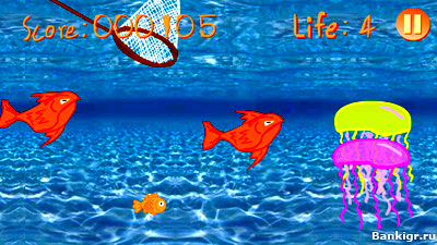 Flash ���� ���������� ����� (Survival Fish) �������� 4