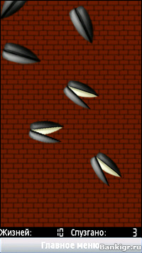 Flash ���� ����� (Semko) �������� 2