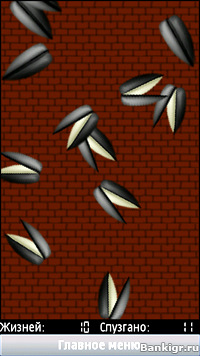 Flash ���� ����� (Semko) �������� 3