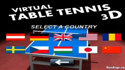 Flash     3D (Virtual Table Tennis 3D)  2