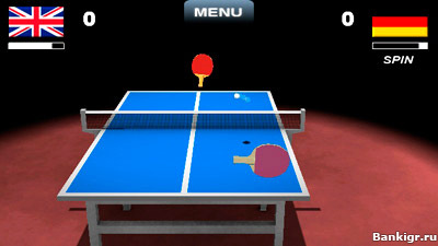 Flash     3D (Virtual Table Tennis 3D)  3