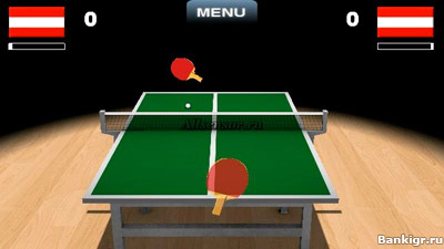 Flash     3D (Virtual Table Tennis 3D)  4