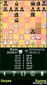 Flash ���� ���������������� ������� (Chess Pro V) �������� 2