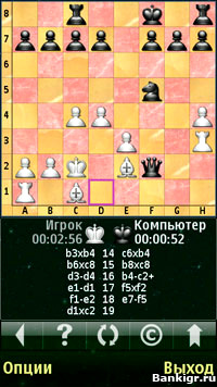 Flash ���� ���������������� ������� (Chess Pro V) �������� 3