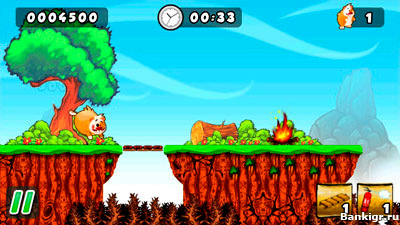 Flash ���� �������� ����� (Crazy Hamster) �������� 3