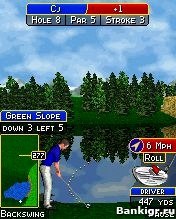 Flash ���� Golden Tee Golf v1.0.12 �������� 2