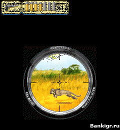 Flash ���� Hunting Unlimited �������� 2