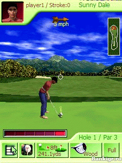 Flash ���� 3D Nine Hole Golf v.1.0m �������� 2