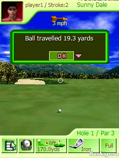 Flash ���� 3D Nine Hole Golf v.1.0m �������� 3