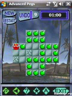 Flash ���� Advanced Pegs v.1.0 �������� 2
