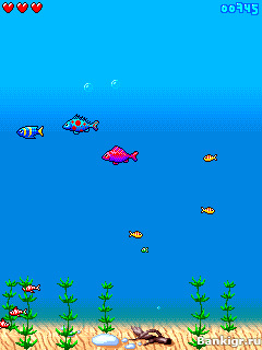 Flash ���� Aqualife v.1.0 �������� 2