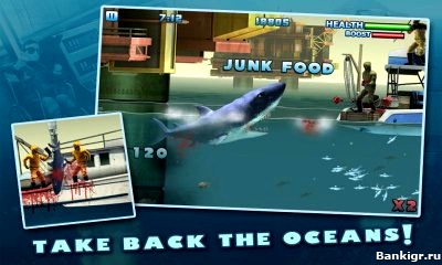 Flash  Hungry Shark 3  3